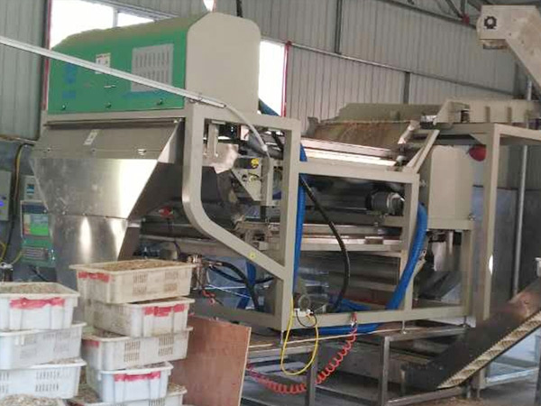 山东濮阳客户选湿虾