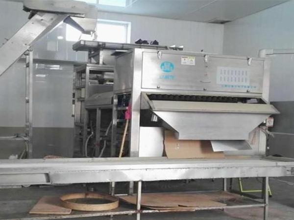 浙江客户选虾米案例