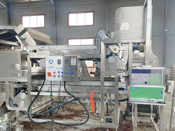 甘肃机采辣椒色选案例