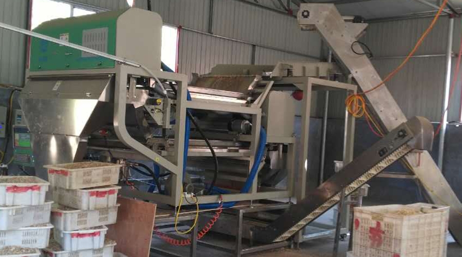 意昂(中国区)体育·官方网站-意昂让你的选择异乎寻常