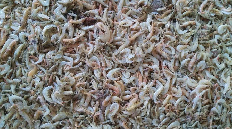 意昂(中国区)体育·官方网站-意昂让你的选择异乎寻常