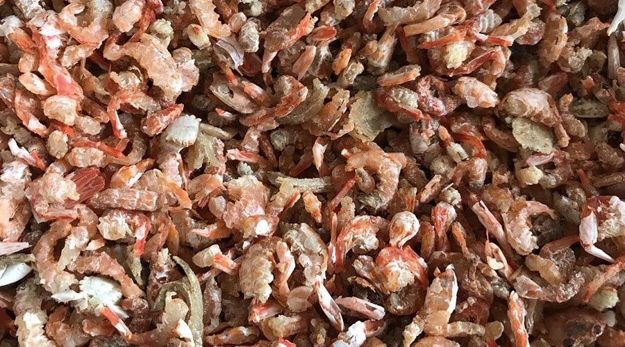 意昂(中国区)体育·官方网站-意昂让你的选择异乎寻常