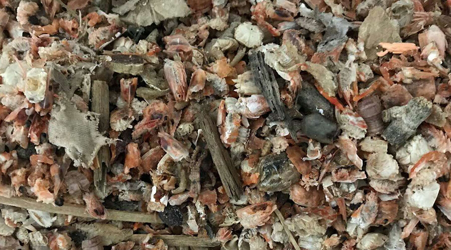 意昂(中国区)体育·官方网站-意昂让你的选择异乎寻常