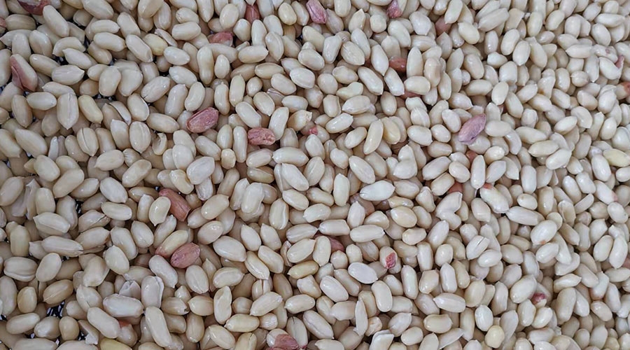 意昂(中国区)体育·官方网站-意昂让你的选择异乎寻常