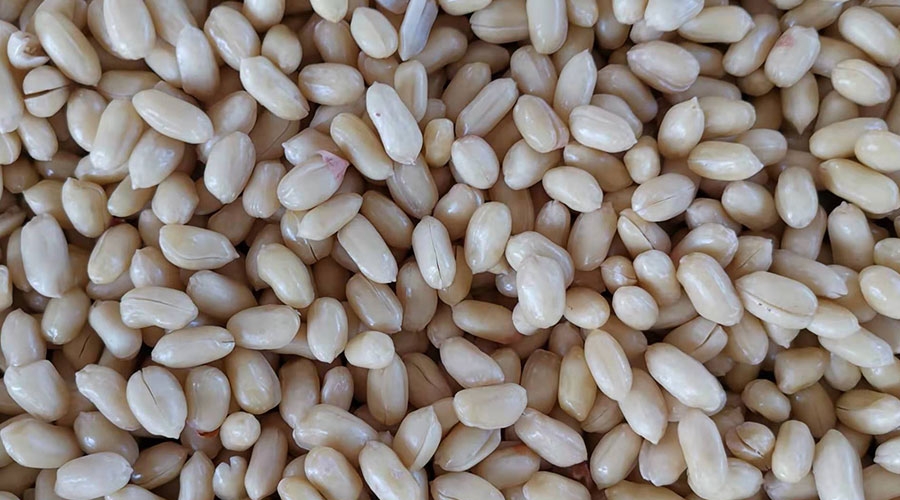 意昂(中国区)体育·官方网站-意昂让你的选择异乎寻常