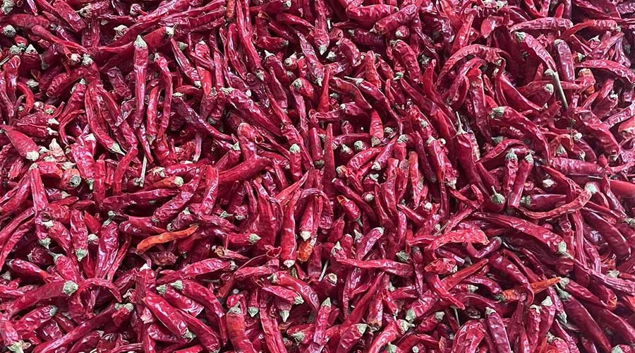 意昂(中国区)体育·官方网站-意昂让你的选择异乎寻常