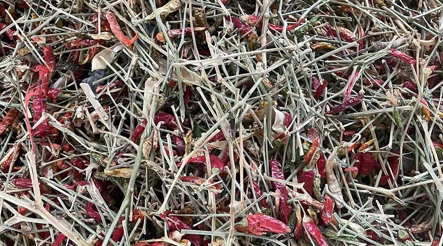 意昂(中国区)体育·官方网站-意昂让你的选择异乎寻常