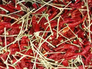 意昂(中国区)体育·官方网站-意昂让你的选择异乎寻常