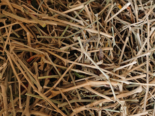 意昂(中国区)体育·官方网站-意昂让你的选择异乎寻常