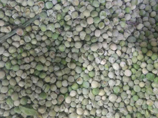 意昂(中国区)体育·官方网站-意昂让你的选择异乎寻常