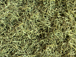 意昂(中国区)体育·官方网站-意昂让你的选择异乎寻常