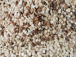 意昂(中国区)体育·官方网站-意昂让你的选择异乎寻常