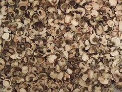 意昂(中国区)体育·官方网站-意昂让你的选择异乎寻常