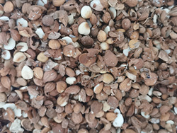 意昂(中国区)体育·官方网站-意昂让你的选择异乎寻常