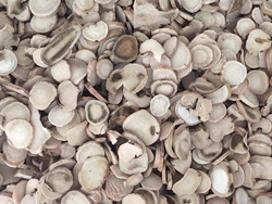 意昂(中国区)体育·官方网站-意昂让你的选择异乎寻常