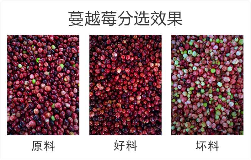 意昂(中国区)体育·官方网站-意昂让你的选择异乎寻常