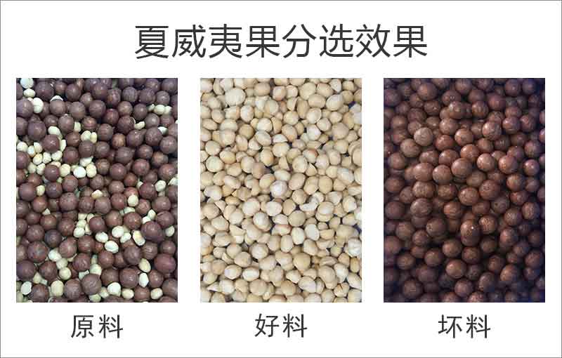 意昂(中国区)体育·官方网站-意昂让你的选择异乎寻常