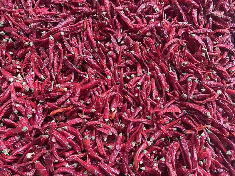 意昂(中国区)体育·官方网站-意昂让你的选择异乎寻常