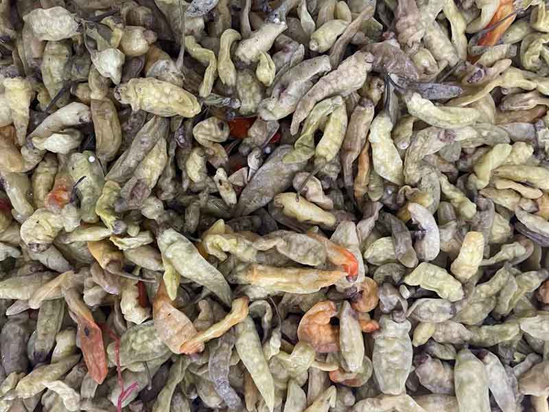 意昂(中国区)体育·官方网站-意昂让你的选择异乎寻常