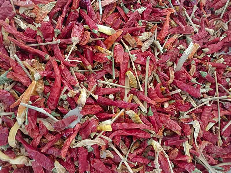 意昂(中国区)体育·官方网站-意昂让你的选择异乎寻常