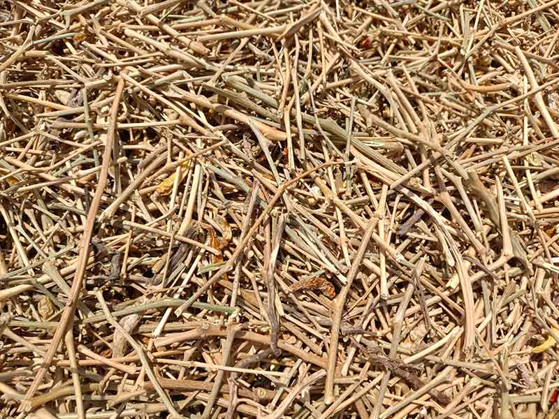 意昂(中国区)体育·官方网站-意昂让你的选择异乎寻常