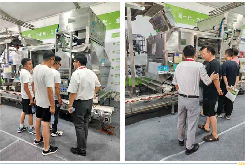 意昂(中国区)体育·官方网站-意昂让你的选择异乎寻常