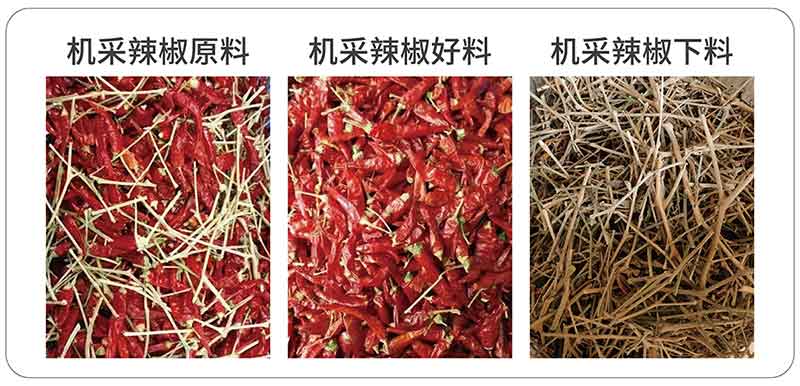 意昂(中国区)体育·官方网站-意昂让你的选择异乎寻常