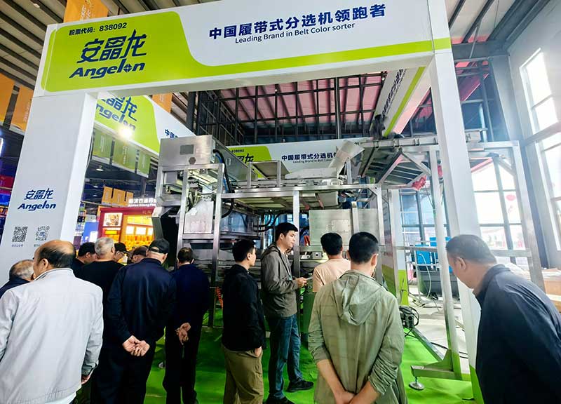 意昂(中国区)体育·官方网站-意昂让你的选择异乎寻常