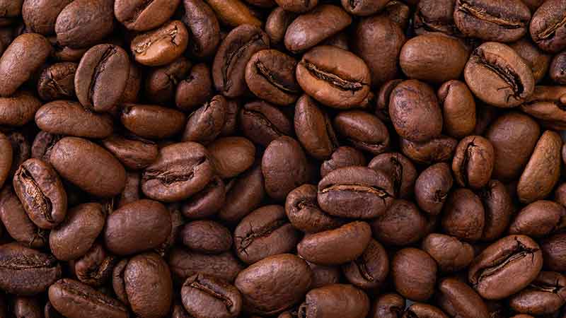 色选机|食品色选机|再生资源色选机|矿石色选机|履带色选机