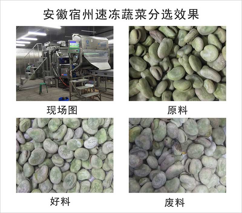 色选机|食品色选机|再生资源色选机|矿石色选机|履带色选机