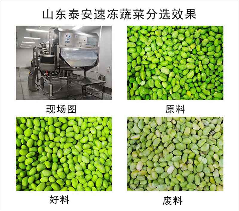 色选机|食品色选机|再生资源色选机|矿石色选机|履带色选机