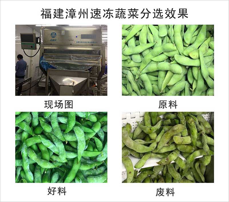 色选机|食品色选机|再生资源色选机|矿石色选机|履带色选机