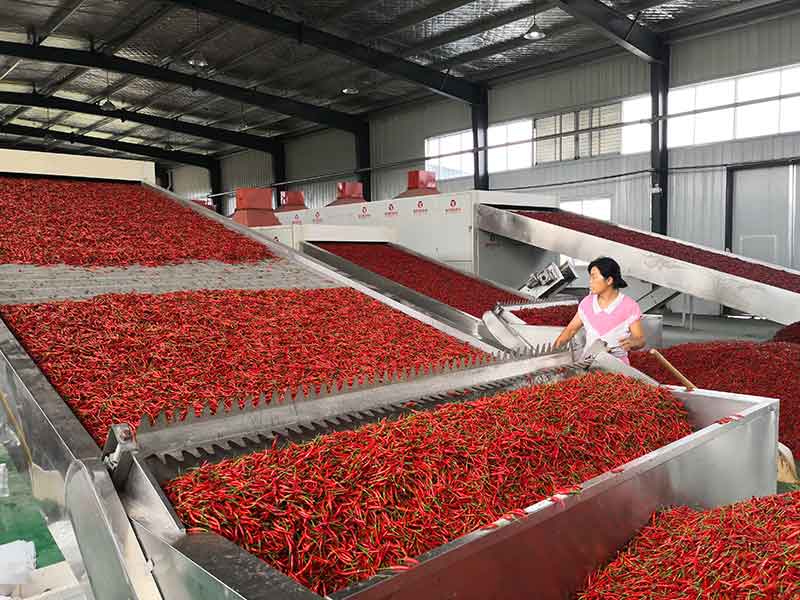 色选机|食品色选机|再生资源色选机|矿石色选机|履带色选机