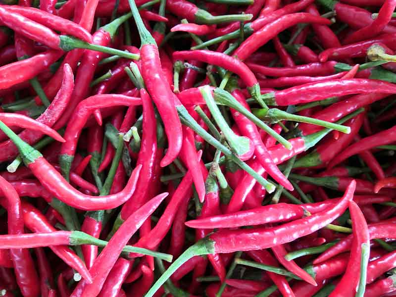 色选机|食品色选机|再生资源色选机|矿石色选机|履带色选机