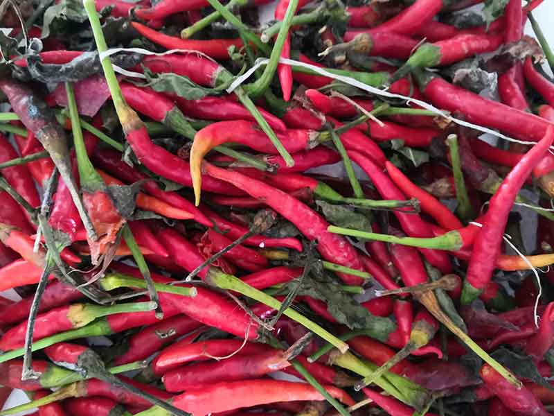 色选机|食品色选机|再生资源色选机|矿石色选机|履带色选机