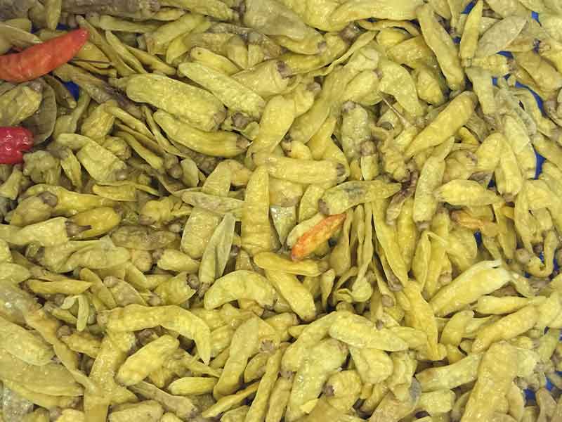 色选机|食品色选机|再生资源色选机|矿石色选机|履带色选机