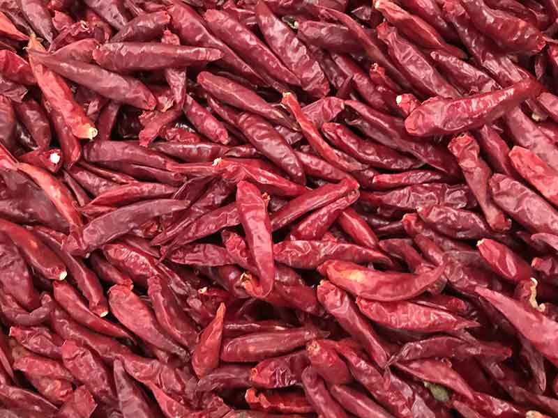 色选机|食品色选机|再生资源色选机|矿石色选机|履带色选机