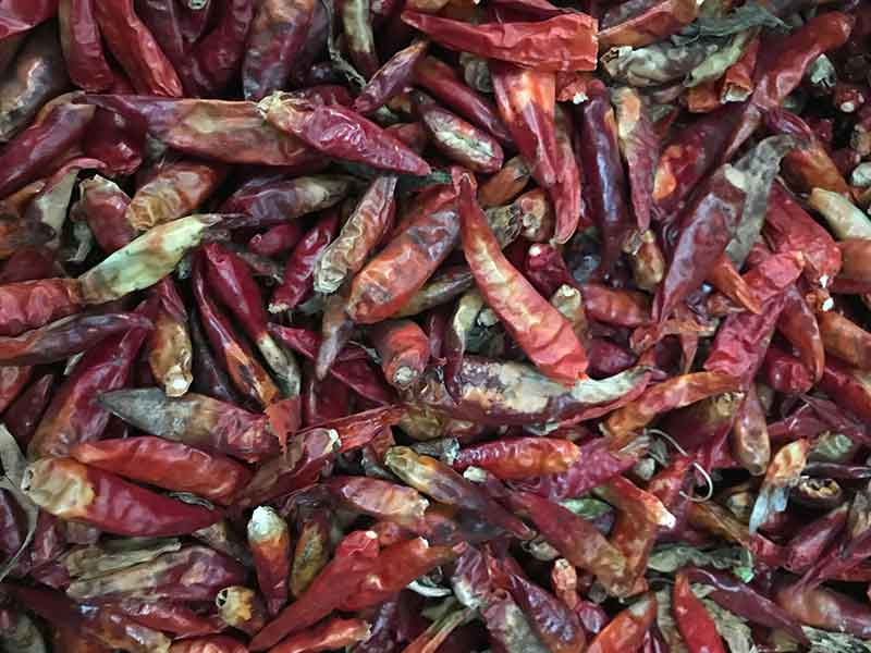 色选机|食品色选机|再生资源色选机|矿石色选机|履带色选机