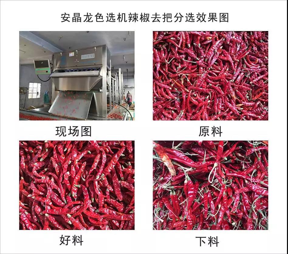 色选机|食品|再生料|矿石|蒜米色选机