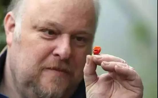 色选机|食品|再生料|矿石|蒜米色选机