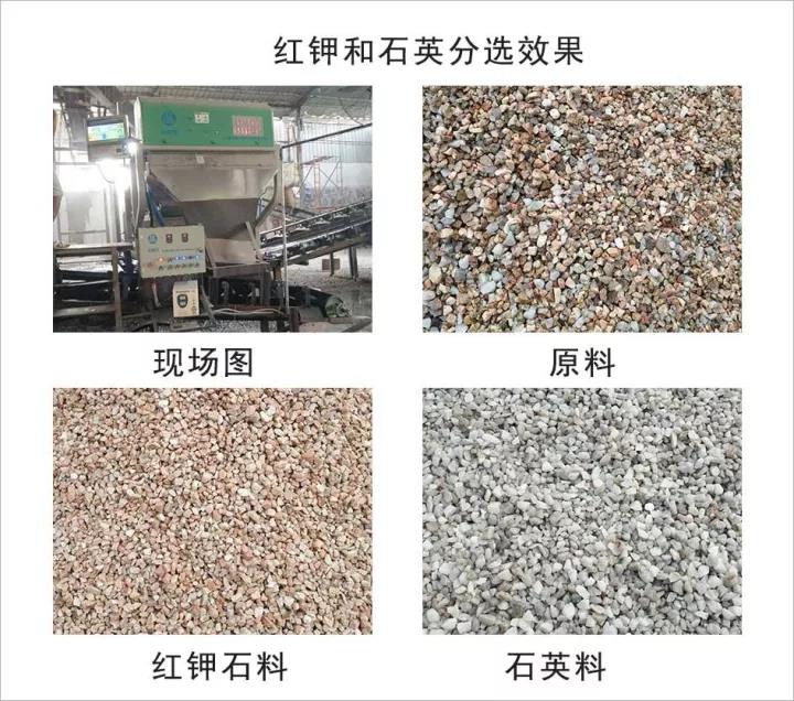 色选机|食品|再生料|矿石|蒜米色选机