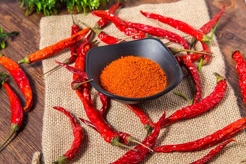 色选机|食品色选机|再生资源色选机|矿石色选机|履带色选机