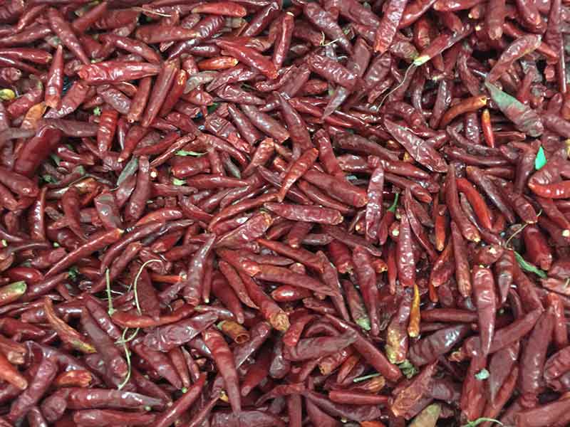 色选机|食品色选机|再生资源色选机|矿石色选机|履带色选机