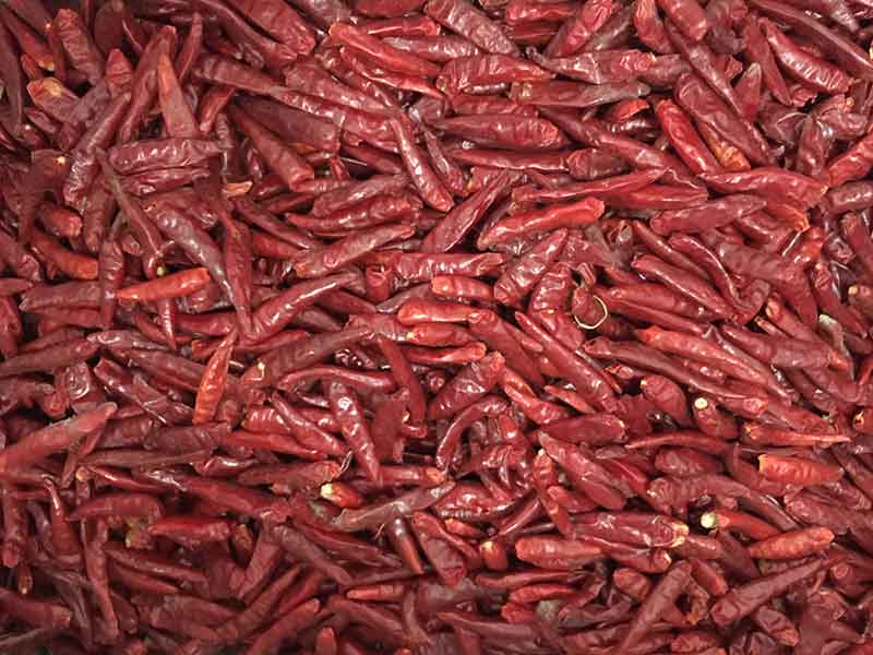 色选机|食品色选机|再生资源色选机|矿石色选机|履带色选机