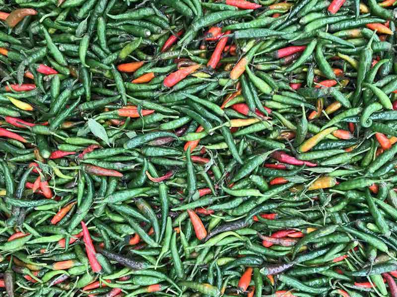 色选机|食品色选机|再生资源色选机|矿石色选机|履带色选机