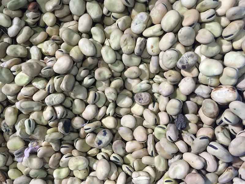 色选机|食品色选机|再生资源色选机|矿石色选机|履带色选机