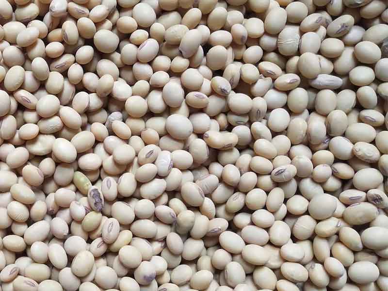 色选机|食品色选机|再生资源色选机|矿石色选机|履带色选机