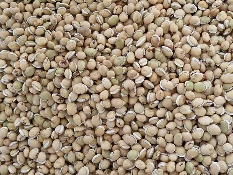 色选机|食品色选机|再生资源色选机|矿石色选机|履带色选机