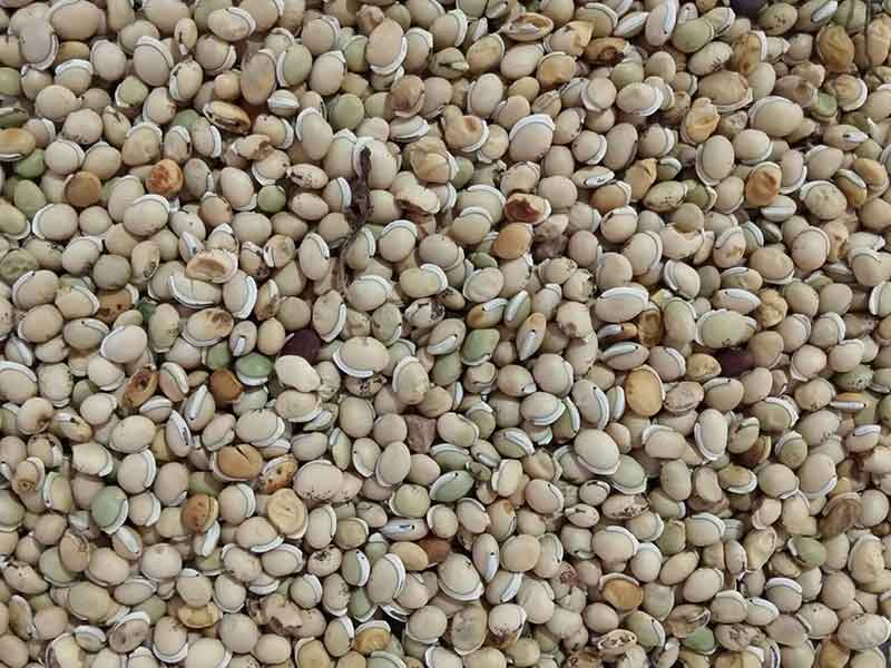 色选机|食品色选机|再生资源色选机|矿石色选机|履带色选机