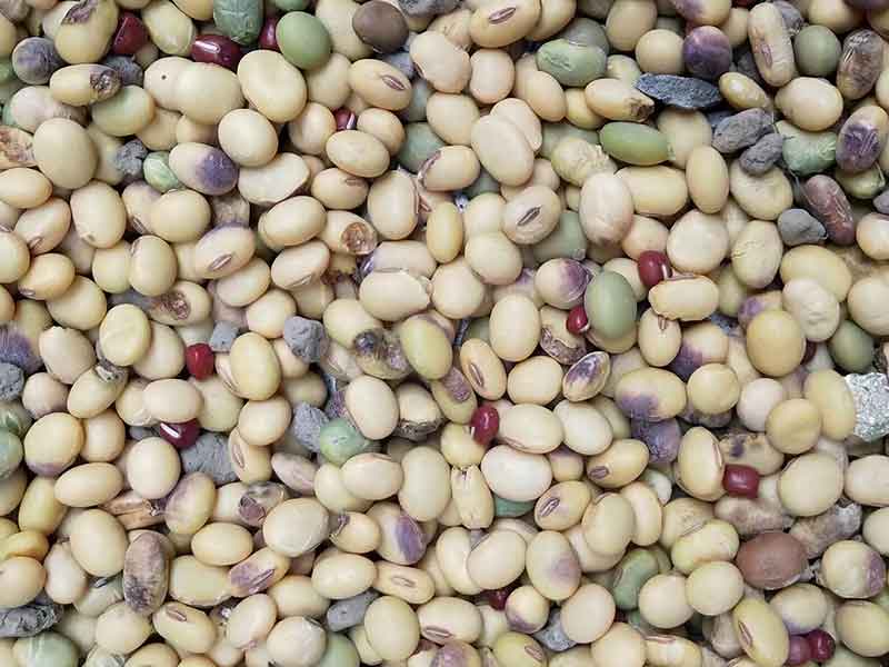 色选机|食品色选机|再生资源色选机|矿石色选机|履带色选机